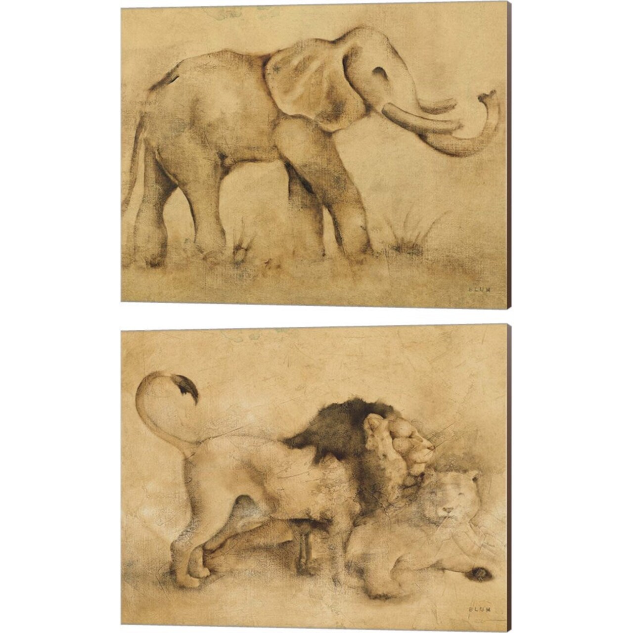 Global Elephant & Lions Light by Cheri Blum, 2 Piece Canvas Art Set 16x20 Inch